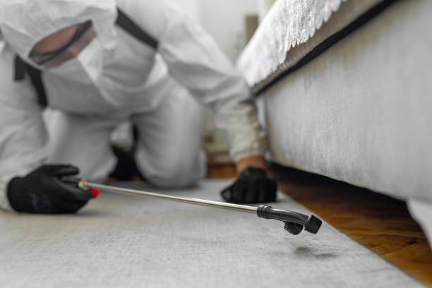 Professional Mosquito Control technician working in Vinton, LA