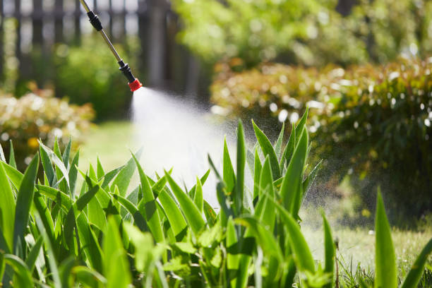 24/7 Emergency Mosquito Control experts in Vinton, LA