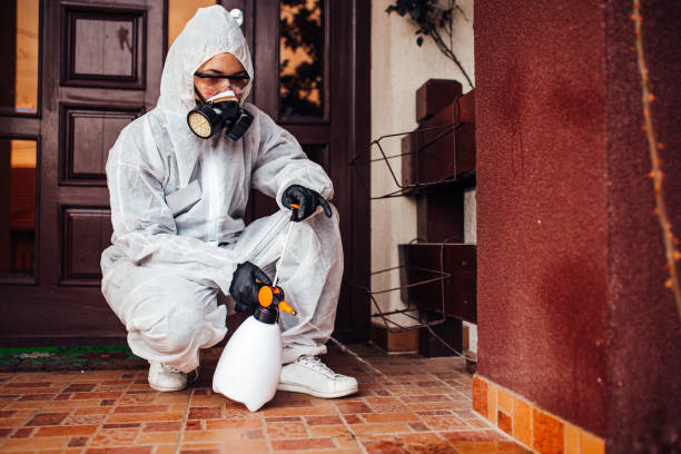 Reliable Mosquito Control contractor in Vinton, LA by Nex Pest Control